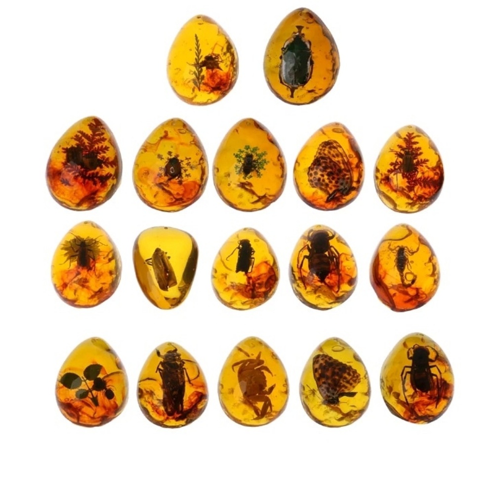 Bug rock